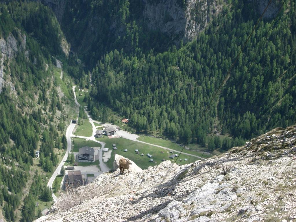 Albergo Genzianella Rocca Pietore Buitenkant foto